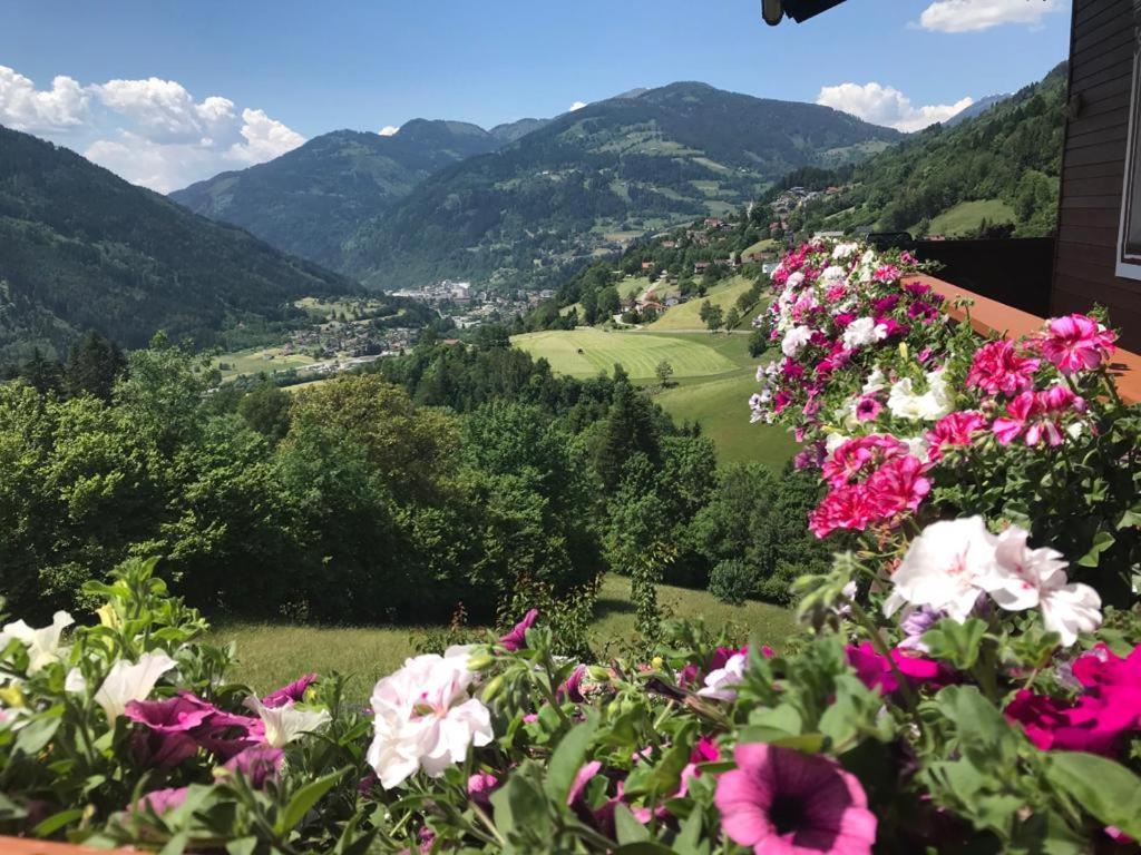 Schoenblick Apartment